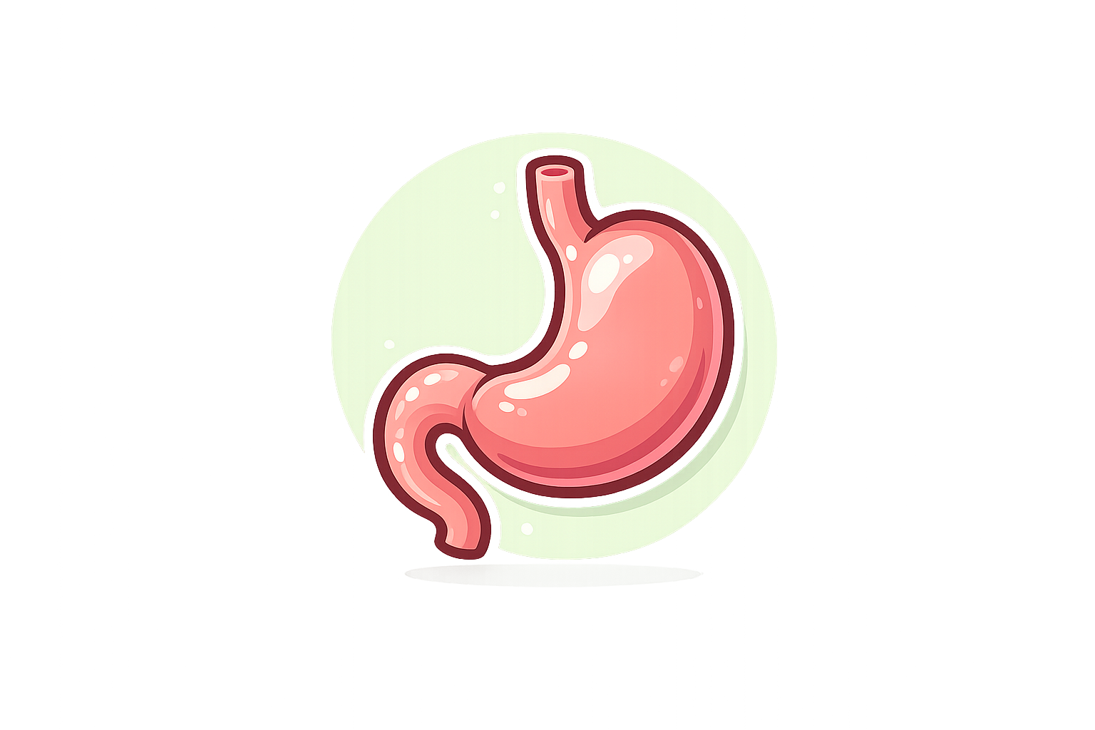 Digestion